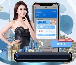 NG28 APP（NG28 H5）